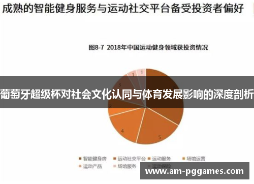 葡萄牙超级杯对社会文化认同与体育发展影响的深度剖析