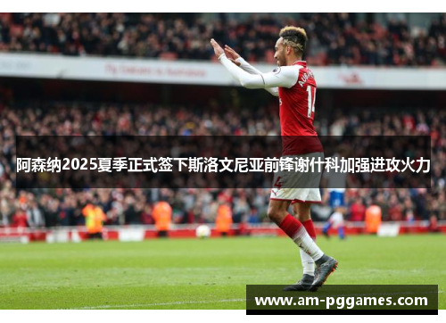 阿森纳2025夏季正式签下斯洛文尼亚前锋谢什科加强进攻火力