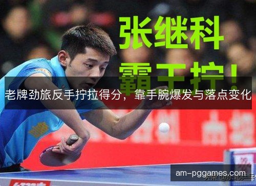 老牌劲旅反手拧拉得分，靠手腕爆发与落点变化